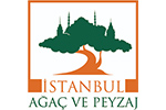 istanbul-peysaj